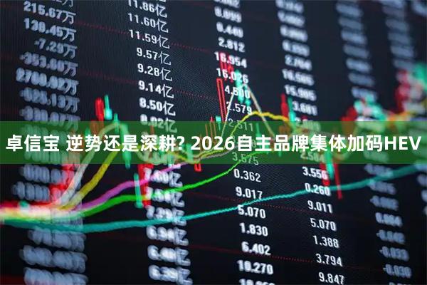 卓信宝 逆势还是深耕? 2026自主品牌集体加码HEV