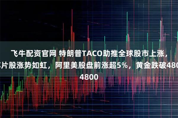 飞牛配资官网 特朗普TACO助推全球股市上涨，芯片股涨势如虹，阿里美股盘前涨超5%，黄金跌破4800